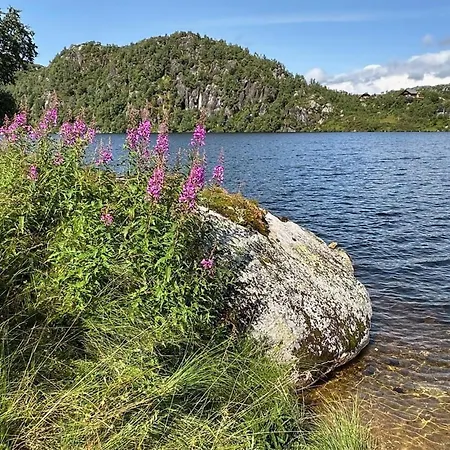 Stunning In With Sauna *